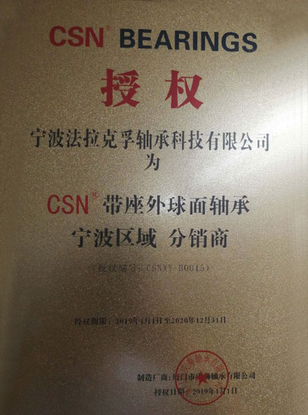 2019CSNȨ